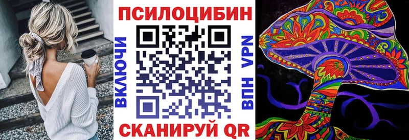 kraken   Кинешма  Псилоцибиновые грибы Cubensis  дарнет шоп 