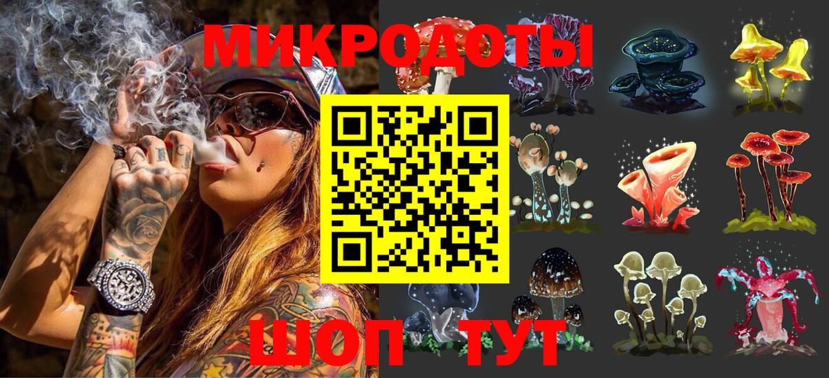 Кинешма  Псилоцибиновые грибы Psilocybine cubensis  Галлюциногенные грибы Psilocybe  Вход с VPN 